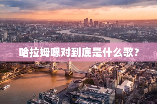 哈拉姆嗯对到底是什么歌？