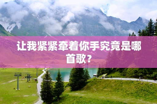 让我紧紧牵着你手究竟是哪首歌？