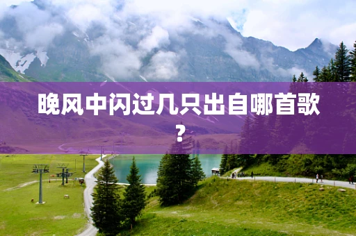 晚风中闪过几只出自哪首歌？