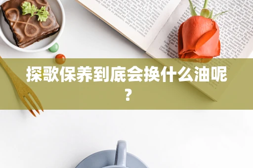 探歌保养到底会换什么油呢？