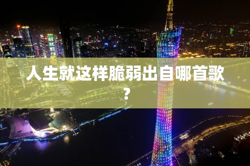人生就这样脆弱出自哪首歌？