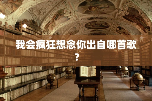 我会疯狂想念你出自哪首歌？