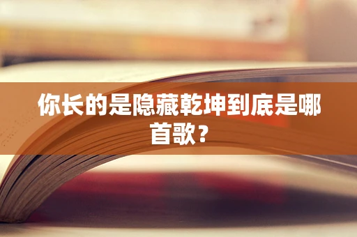 你长的是隐藏乾坤到底是哪首歌？