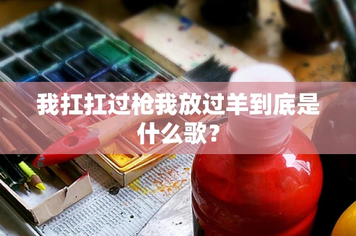 我扛扛过枪我放过羊到底是什么歌？