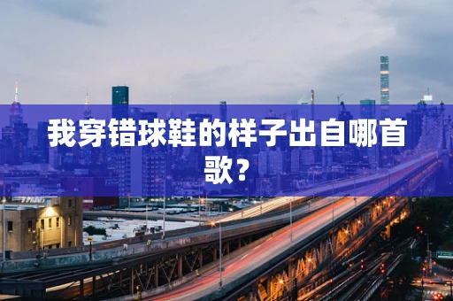我穿错球鞋的样子出自哪首歌？