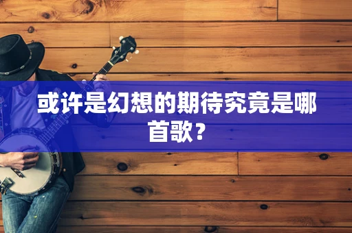 或许是幻想的期待究竟是哪首歌？
