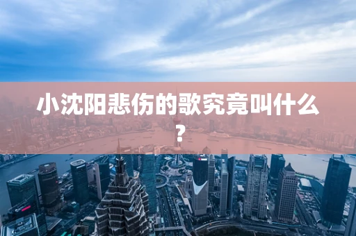 小沈阳悲伤的歌究竟叫什么？