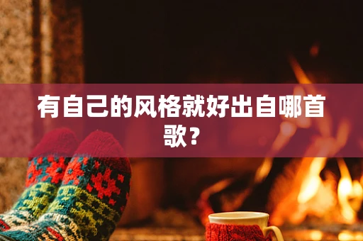 有自己的风格就好出自哪首歌？