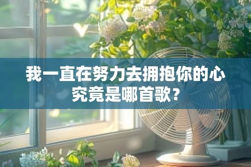 我一直在努力去拥抱你的心究竟是哪首歌？