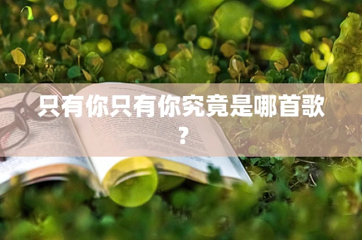 只有你只有你究竟是哪首歌？