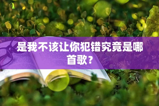 是我不该让你犯错究竟是哪首歌？