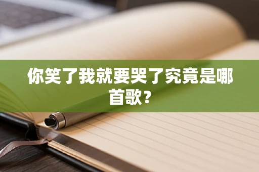 你笑了我就要哭了究竟是哪首歌？