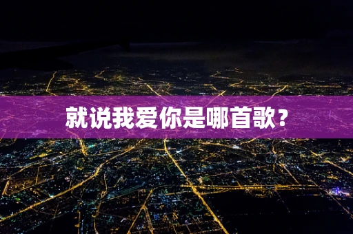 就说我爱你是哪首歌？