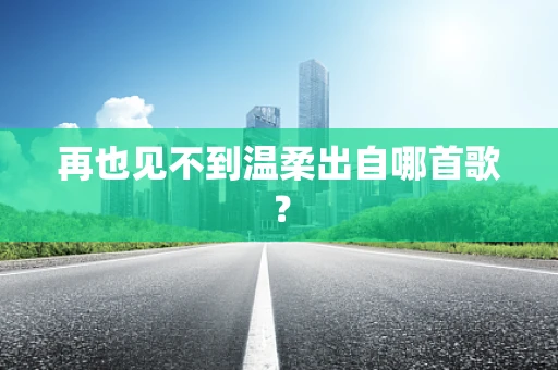 再也见不到温柔出自哪首歌？
