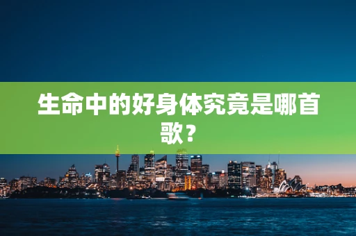 生命中的好身体究竟是哪首歌？