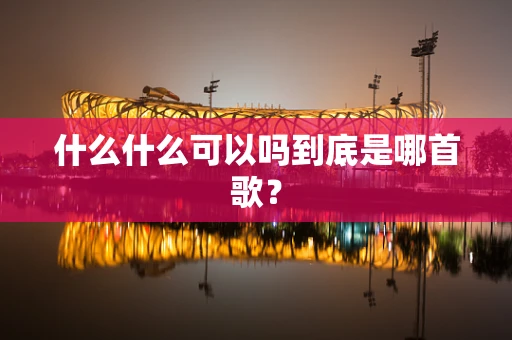 什么什么可以吗到底是哪首歌？