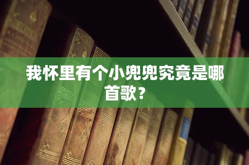 我怀里有个小兜兜究竟是哪首歌？