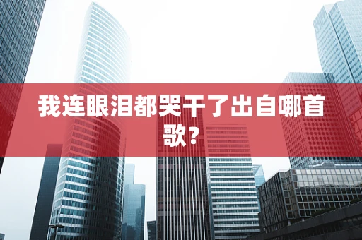 我连眼泪都哭干了出自哪首歌？