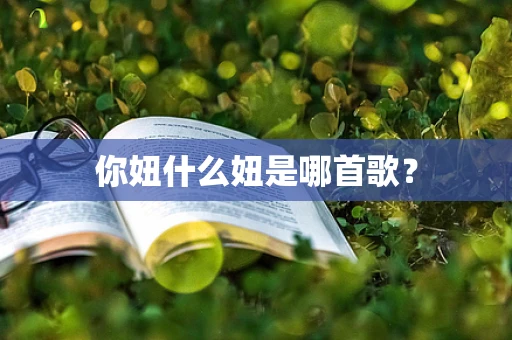 你妞什么妞是哪首歌？