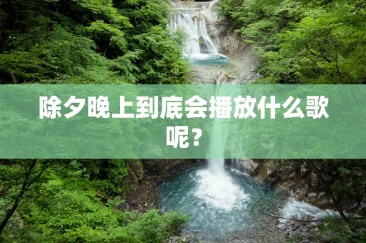 除夕晚上到底会播放什么歌呢？
