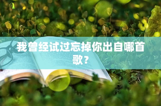 我曾经试过忘掉你出自哪首歌？