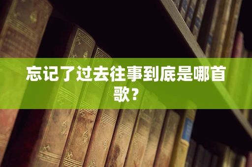 忘记了过去往事到底是哪首歌？