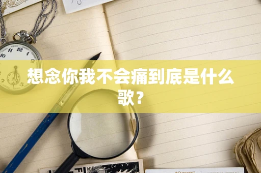 想念你我不会痛到底是什么歌？