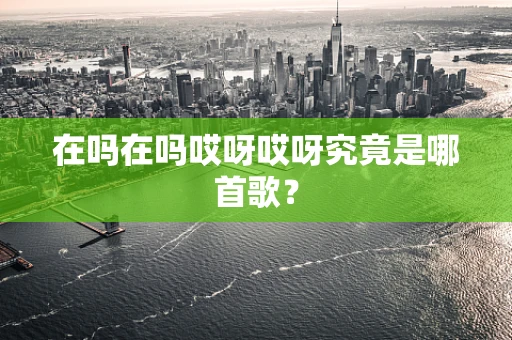 在吗在吗哎呀哎呀究竟是哪首歌？