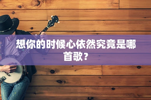 想你的时候心依然究竟是哪首歌？