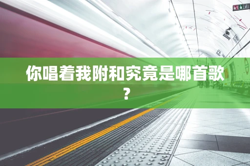 你唱着我附和究竟是哪首歌？