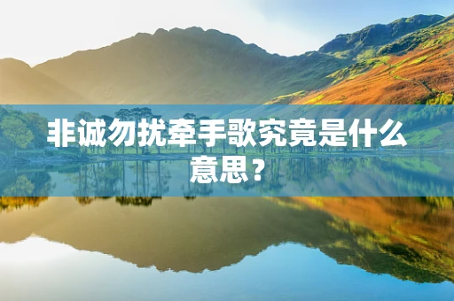 非诚勿扰牵手歌究竟是什么意思？
