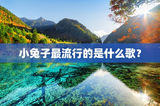 小兔子最流行的是什么歌？