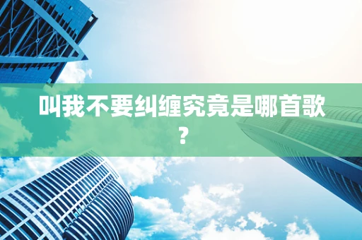 叫我不要纠缠究竟是哪首歌？