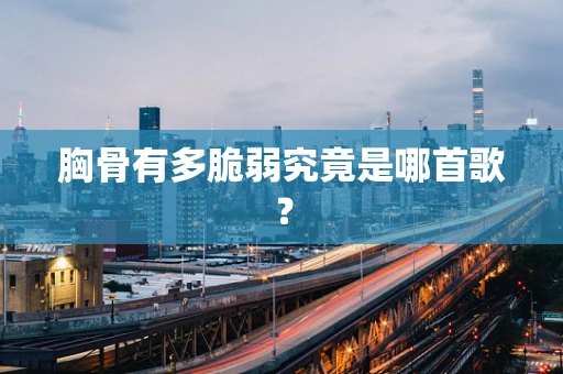 胸骨有多脆弱究竟是哪首歌？