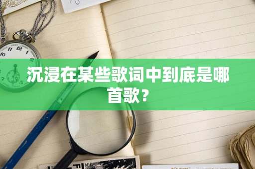 沉浸在某些歌词中到底是哪首歌？