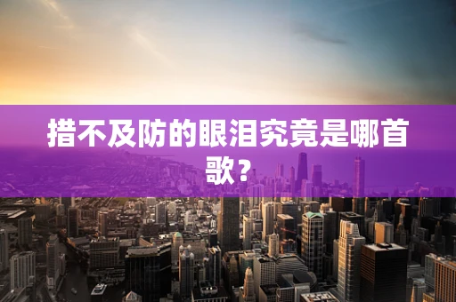 措不及防的眼泪究竟是哪首歌？