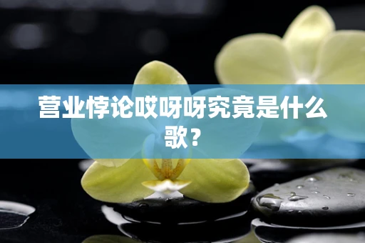 营业悖论哎呀呀究竟是什么歌？