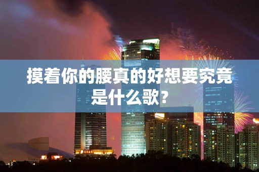 摸着你的腰真的好想要究竟是什么歌？