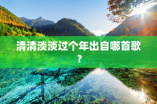 清清淡淡过个年出自哪首歌？