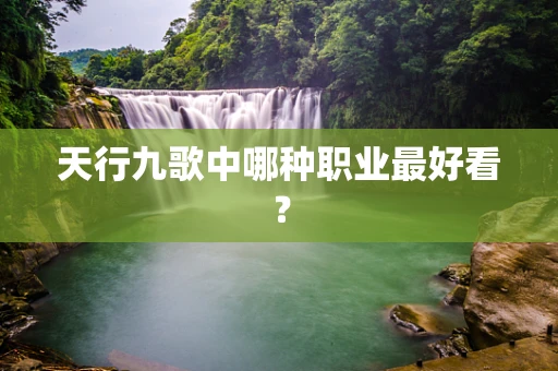 天行九歌中哪种职业最好看？