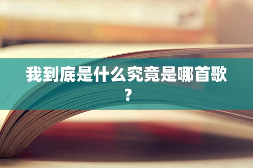 我到底是什么究竟是哪首歌？