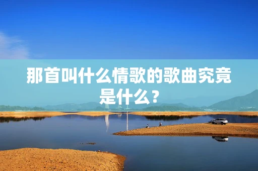 那首叫什么情歌的歌曲究竟是什么？