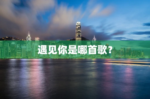 遇见你是哪首歌？