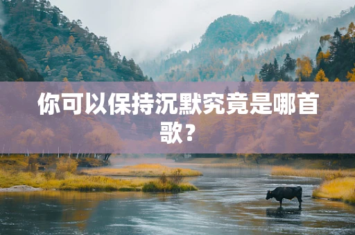 你可以保持沉默究竟是哪首歌？