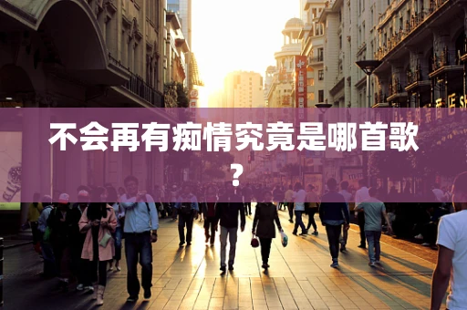 不会再有痴情究竟是哪首歌？