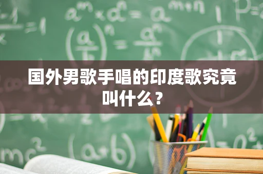 国外男歌手唱的印度歌究竟叫什么？