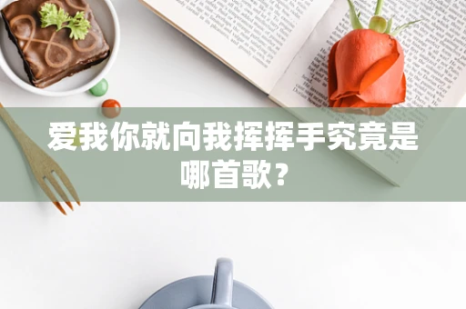 爱我你就向我挥挥手究竟是哪首歌？