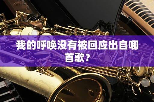 我的呼唤没有被回应出自哪首歌？