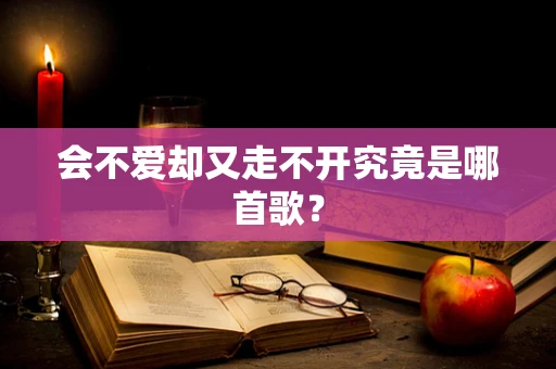 会不爱却又走不开究竟是哪首歌？