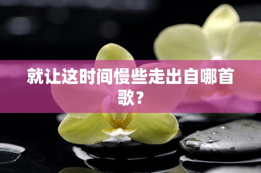 就让这时间慢些走出自哪首歌？